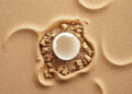 Eggshell Waste Strengthens Sand but Weakens Clay, Study Finds