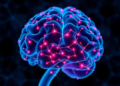 Tau Takes Center Stage: New Review Maps the Phosphorylation Network Driving Alzheimer's Disease