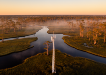 Machine learning maps wetland carbon fluxes across the Southeastern United States