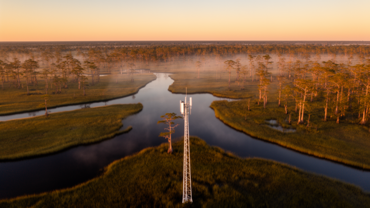 Machine learning maps wetland carbon fluxes across the Southeastern United States