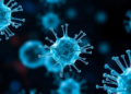 Atypical B Cells Emerge as Key Players in Gastric Cancer Spread, Study Finds
