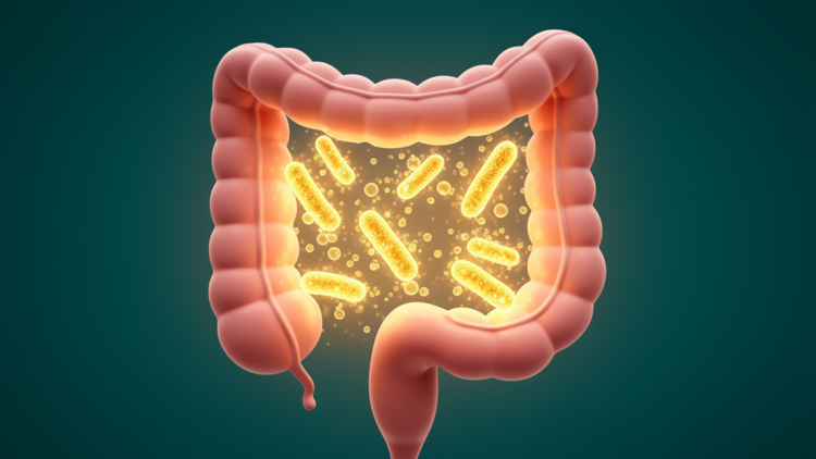 Gut Microbe Metabolite May Explain How Butyrate Protects the High-Fat-Diet Colon