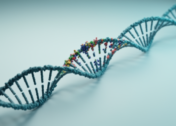 New k-mer estimators untangle substitutions, insertions and deletions in evolving genomes