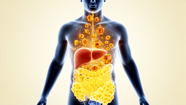 High serum urate linked to visceral and liver fat in obesity study