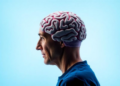Contact sports linked to dementia risk before age 65, review finds, but evidence remains thin