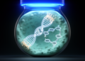 Blue light disrupts DNA repair in skin cells through an ITGB3–PI3K/AKT pathway, study finds