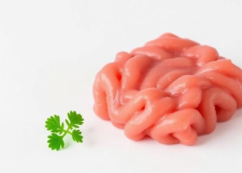 Gelatin Unlocks the Molecular Secrets of 3D-Printed Pork Mince