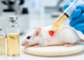 Injectable chitosan hydrogels loaded with plant-derived silver nanoparticles speed burn wound healing in mice