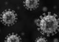 Portland State virologists win $1 million NSF grant to trace crucivirus evolution