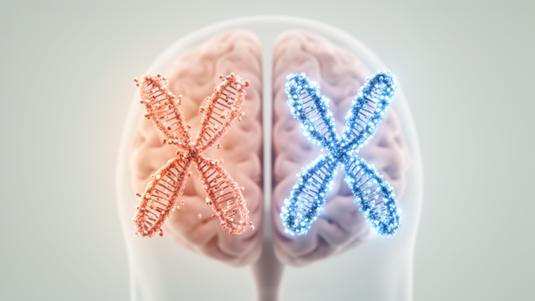 Female X chromosomes show lower methylation than male X in human brain