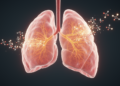 Computational study links tire rubber antioxidant 6PPD to lung cancer molecular pathways
