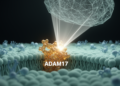 Computational agent pinpoints ADAM17 as drug target in biliary tract cancer