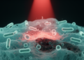 Chitosan-Porphyrin Composites Show Light-Activated Killing of Drug-Resistant Bacteria