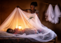 Africa's insecticide-treated bednet coverage has stalled, 19-year analysis finds