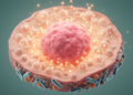 Metabolism, immunity and the microbiome shape the breast cancer microenvironment