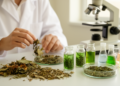 Medicinal Plants Show Anti-Proliferative Potential in sweeping Review of Natural Extracts