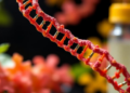 Flavonoids that bind DNA block a mutagen's chemical fingerprints in lab tests