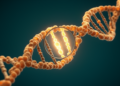 HOTAIR Gene Variant Linked to Higher Cholangiocarcinoma Risk in Egyptian Patients