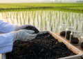 Manganese-Loaded Biochar Supercharges Soil Nitrogen Retention in Paddy Soil Study