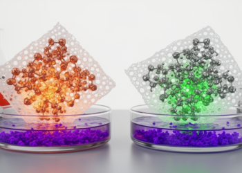 Copper or nickel: metal choice steers dye capture in cellulose-MOF films