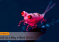 Sound as a Tiny Robot Driver: How Acoustic Fields Move Cells and Microswimmers