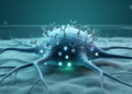 Immunoglobulins and Efgartigimod dampen neuronal activity in rat cortical cultures