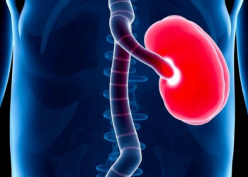 Modest Spleen Shrinkage Plus Transfusion Freedom Predicts Longer Survival in Myelofibrosis Patients on Momelotinib