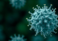 Postbiotics Move From Microbial Ecology Toward the Food Industry Mainstream