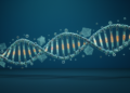 New k-mer estimator cracks substitution rates in repetitive DNA