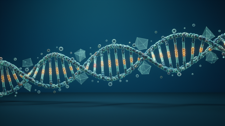 New k-mer estimator cracks substitution rates in repetitive DNA