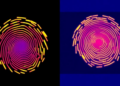 Thermal Fingerprints: How DSC and TGA Are Exposing Food Fraud