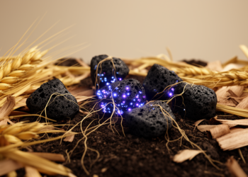 Manganese-Loaded Biochar Supercharges Fungal Humification of Crop Waste