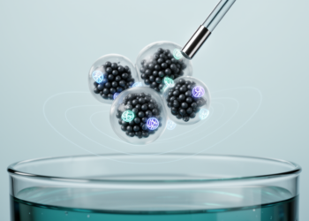 Alginate-wrapped magnetic nanoparticles shield enzymes for 20-cycle reuse