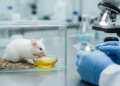 Soybean Oil Diet Raises DNA Damage Markers in Mice Compared with Coconut Oil