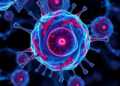 Fat Cell Antioxidant Switch Found to Quiet Inflammation in Obesity