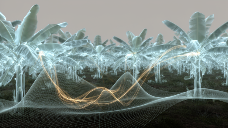 Mathematical model with memory effects targets banana bunchy top virus spread
