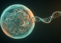 Long Non-Coding RNA LINC01140 Shows Dual Roles Across Human Cancers, Review Finds