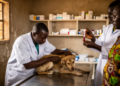 Canine Parvovirus Detected in One in Ten Dogs Surveyed in Labé, Guinea