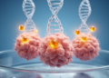 New mouse colorectal cancer cell line carries three key human mutations