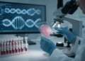 Bladder Cancer Gene Signature Holds Up Across Two Large Cohorts