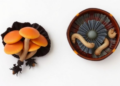 DNA Barcodes Reveal Hidden Jelly Fungus Diversity Across China