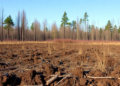 Fallow Chernozem soils store the most stable carbon in Russian forest-steppe study