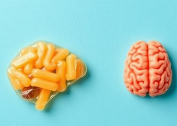 Vitamin E Shows Plausible Brain Protection in Diabetes, but Human Evidence Still Falls Short