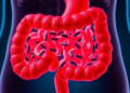 Gut Microbes Trade Metabolites in Ways Scientists Are Learning to Program