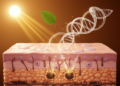 Environment, lifestyle and stress shape skin pigmentation through epigenetic changes