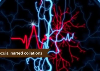 Molecular Imaging Reveals Persistent Atrial Fibroblast Activation After AF Ablation