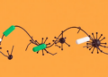 Phenotype-based algorithm aims to untangle NSAID hypersensitivity and spare safe drugs