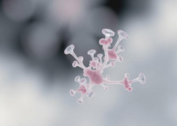Deaths from drug-resistant Acinetobacter baumannii in Pakistan fell 41% over three decades