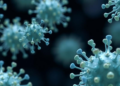 Natural Compounds That Build Their Own Nanomedicines Take Aim at Cancer