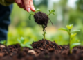 Biochar locks carbon in soil for the long haul while stover keeps it cycling